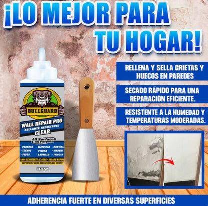 Kit Sellante Reparador + Envío Gratis